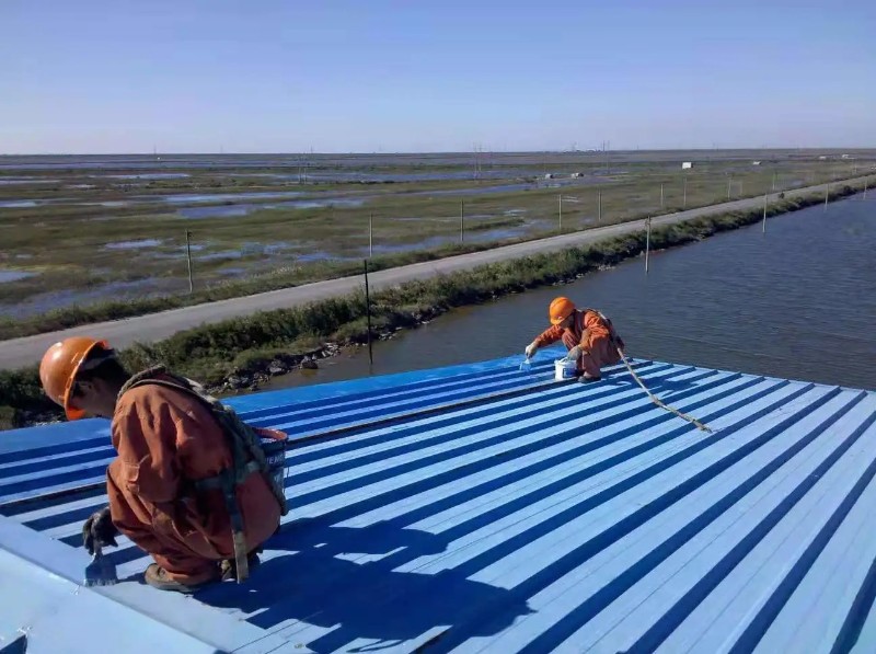 池州彩钢瓦屋面防腐翻新